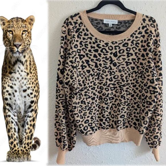 Leopard Print Sweater NWOT - Picture 1 of 6